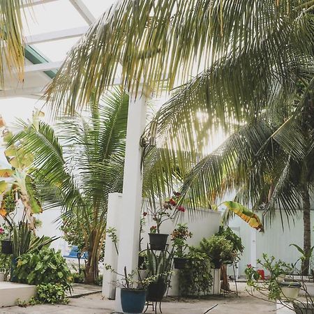 Fiyala Homestay Atoll Addu Extérieur photo