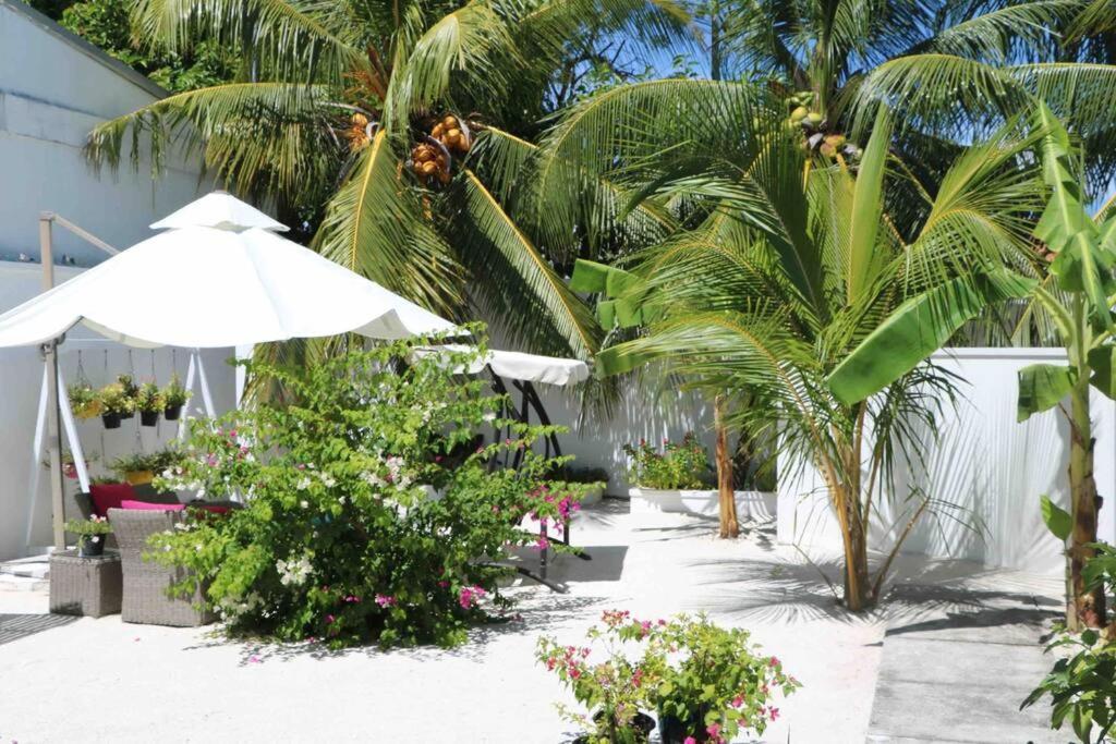 Fiyala Homestay Atoll Addu Extérieur photo