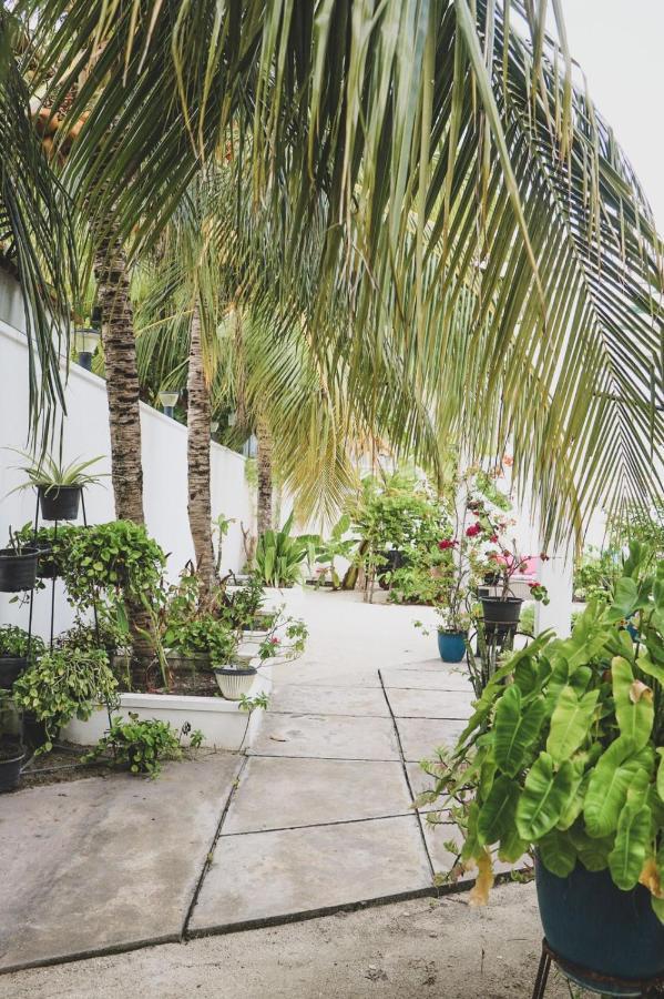 Fiyala Homestay Atoll Addu Extérieur photo