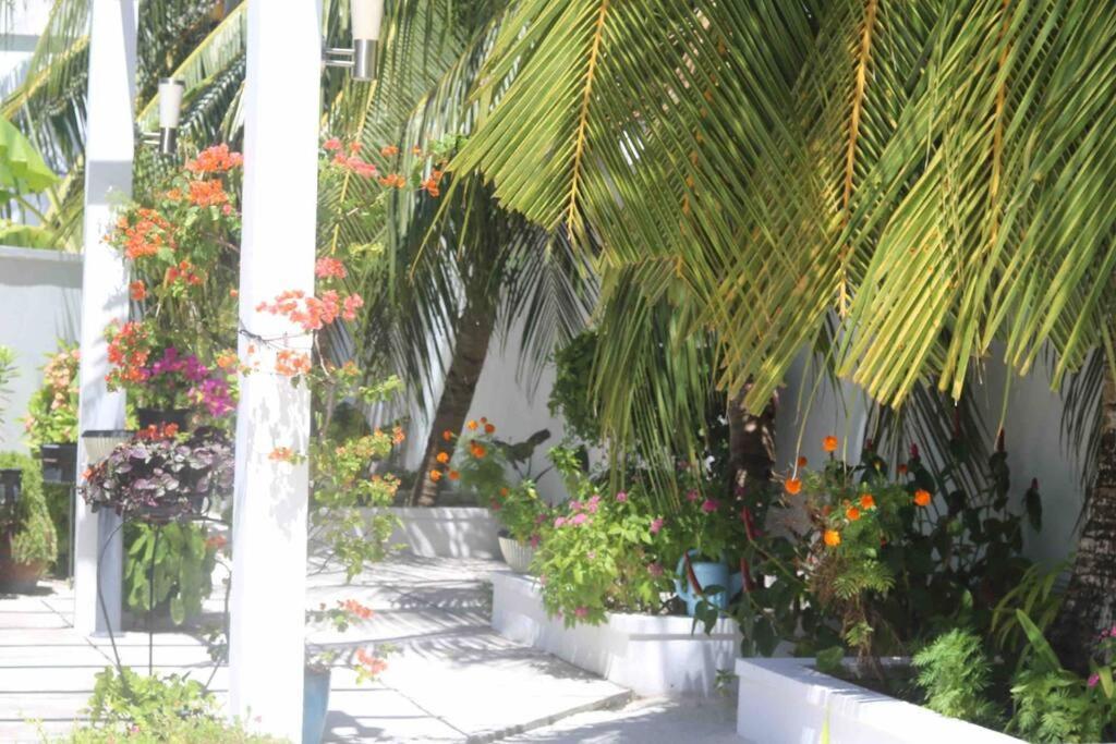Fiyala Homestay Atoll Addu Extérieur photo