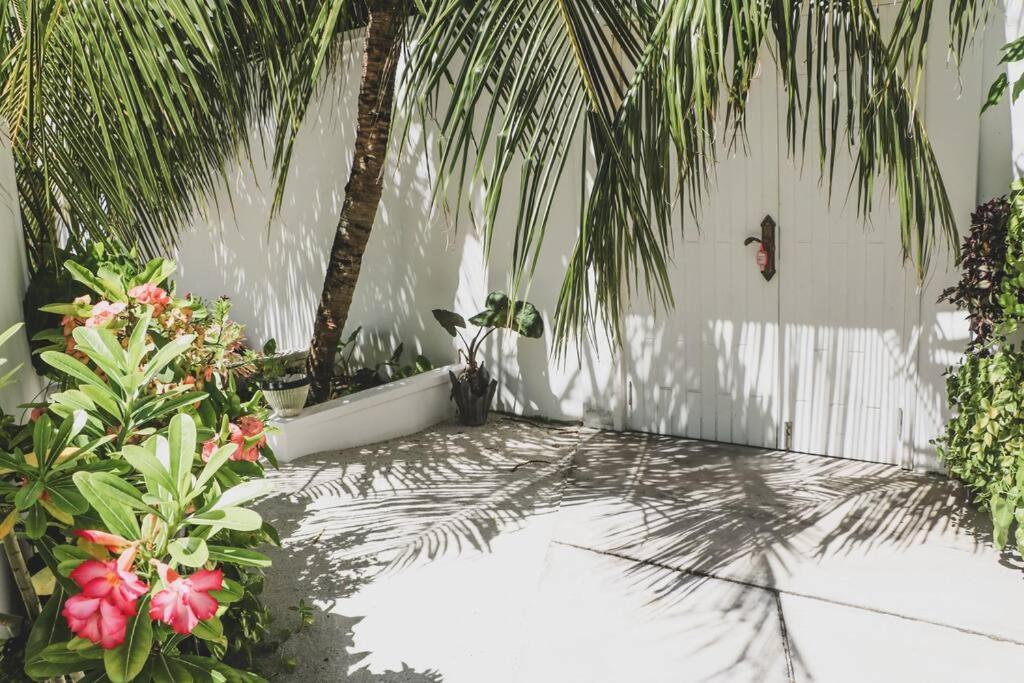 Fiyala Homestay Atoll Addu Extérieur photo